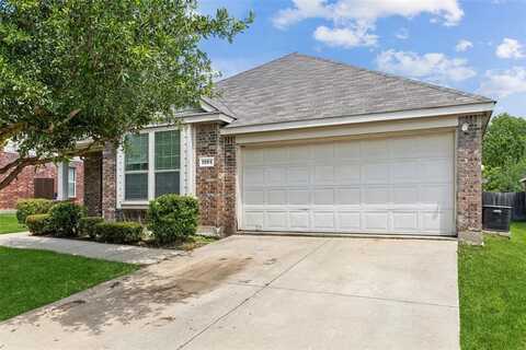 1204 Toledo Bend Drive, Princeton, TX 75407