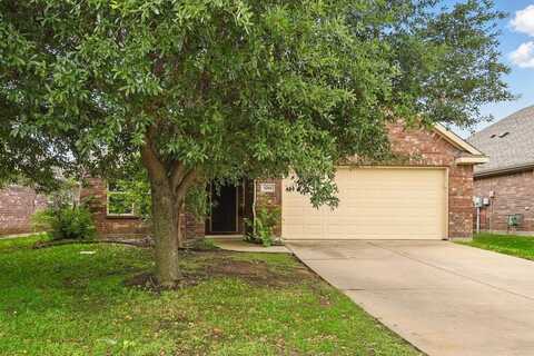 1204 Villa Paloma Boulevard, Little Elm, TX 75068