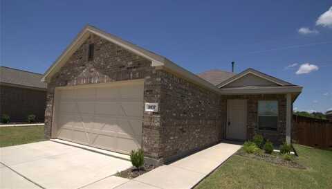 3517 Harper Street, Little Elm, TX 75068