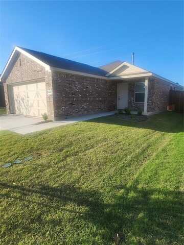3517 Harper Street, Little Elm, TX 75068