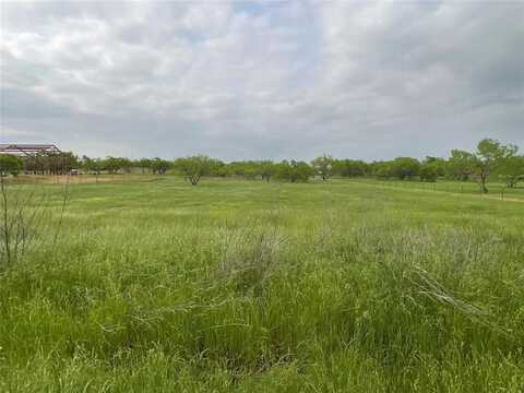 926 Old Oran Road, Perrin, TX 76082