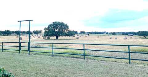 Dyer, LIPAN, TX 76462