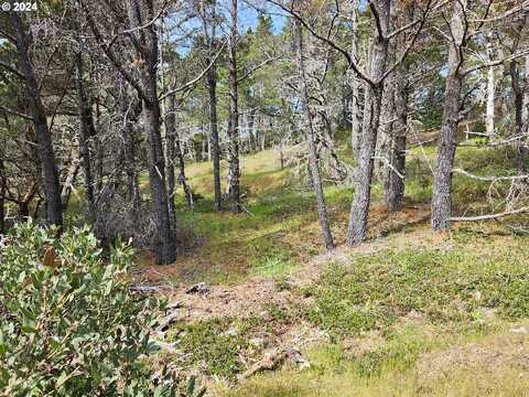 Carpenterville Rd #404/400, GoldBeach, OR 97444