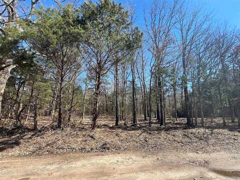 Cr 3113, Pittsburg, TX 75686