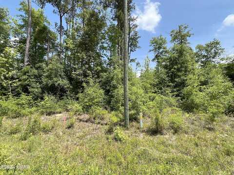 Magnolia Ln, Marianna, FL 32448