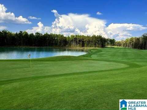 1001 ARONIMINK DRIVE, CALERA, AL 35040