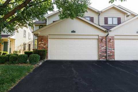 902 Carlisle Avenue, Westmont, IL 60559
