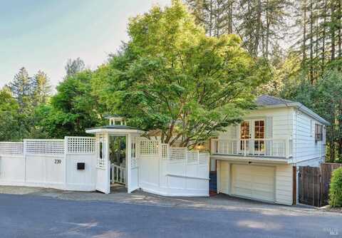 239 W Blithedale Avenue, Mill Valley, CA 94941