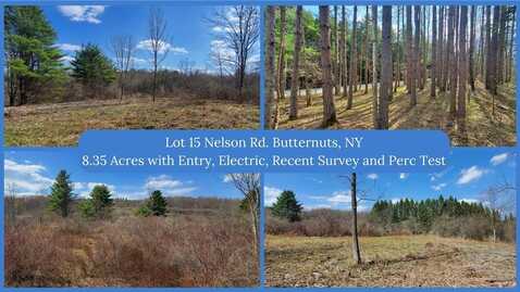 Lot 15 Nelson Road, Butternuts, NY 13843