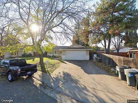 Chicory, SACRAMENTO, CA 95842
