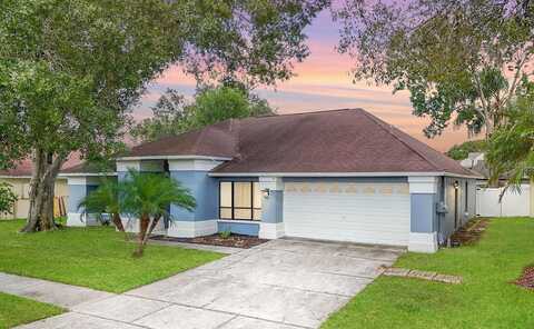 Fox Chapel, TAMPA, FL 33647