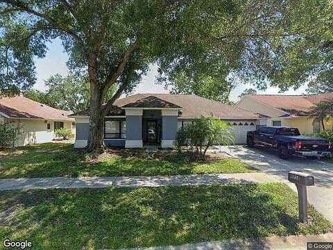 Fox Chapel, TAMPA, FL 33647