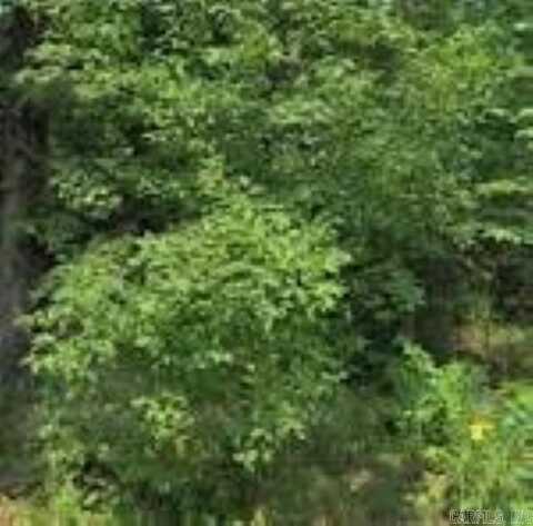 Unknown Missouri Street, Mena, AR 71953