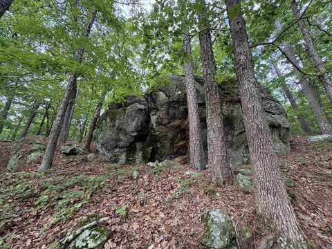 222 Ernie Woods Rd. Road, Rose Bud, AR 72137