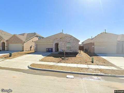 Daffodil, PRINCETON, TX 75407
