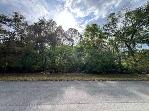 00 NW 74th Ct, Chiefland, FL 32626