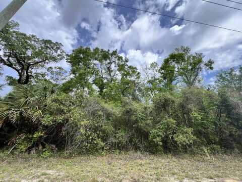 0 NE 349, Old Town, FL 32680