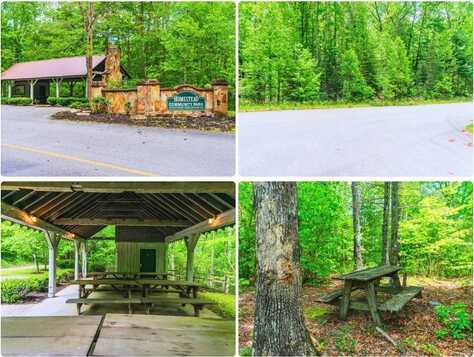 Lot 34W Long Rifle Rd, Walland, TN 37886