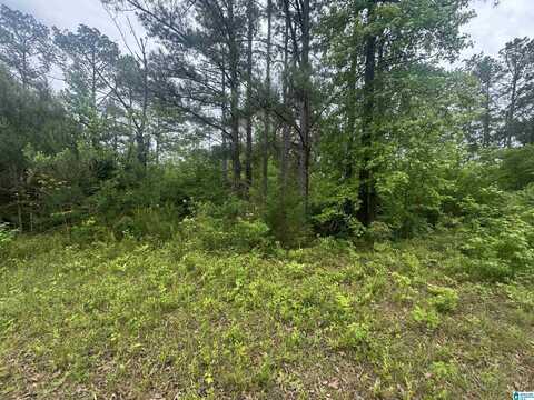 0 COUNTY ROAD 42, JEMISON, AL 35085