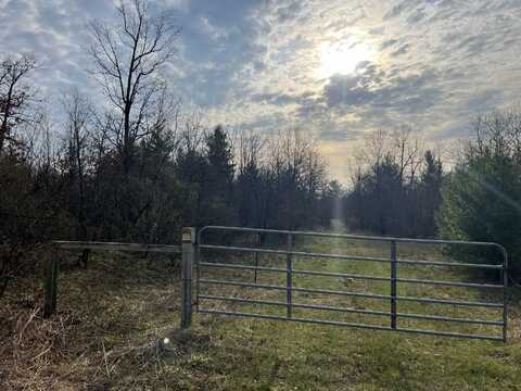 11500 N WILLOW AVENUE, BITELY, MI 49309