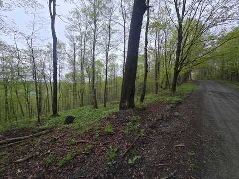 0WP Greenbush Rd, Westford, NY 12155