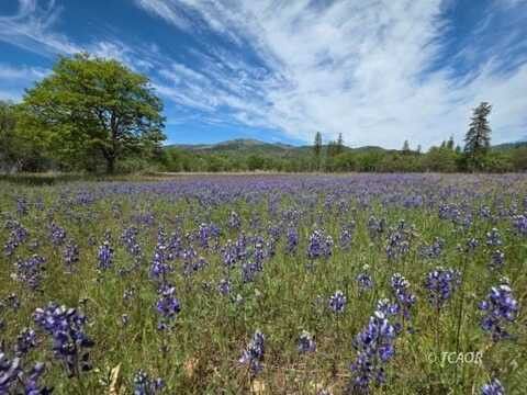 13660 State HWY 3, Hayfork, CA 96041