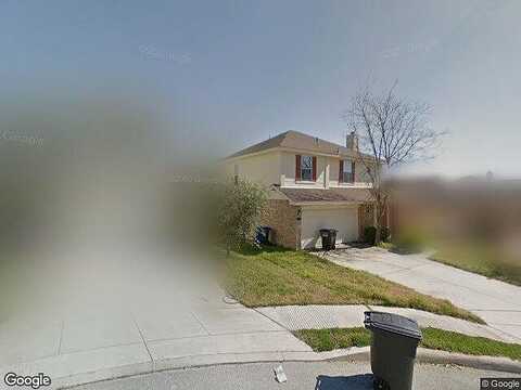 Rosy Finch, SAN ANTONIO, TX 78233