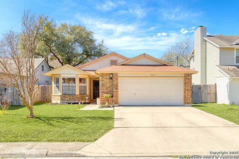 Laurel Hollow, SAN ANTONIO, TX 78232