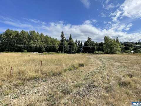 NKA W Highway 101, Lot 2, Port Angeles, WA 98363