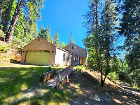 26085 Meadow Drive, Pioneer, CA 95666
