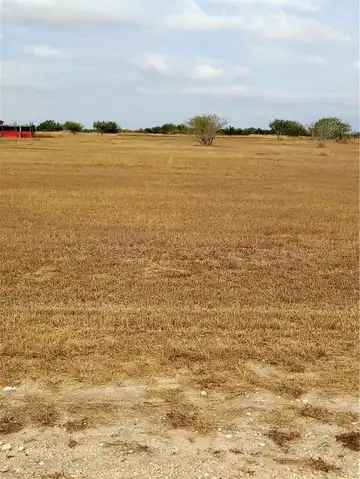 10420 Highway 359 Highway, Orange Grove, TX 78372
