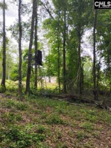 Double Pond Road, Blackville, SC 29817