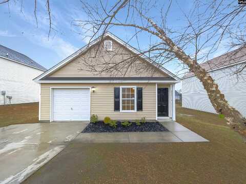 1307 Waverly Place Drive, Columbia, SC 29229