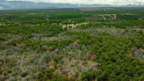 850 Canyon Ridge Road, Montrose, CO 81403