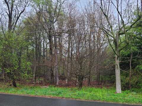 Lot B13 Forest Drive, Tobyhanna, PA 18466