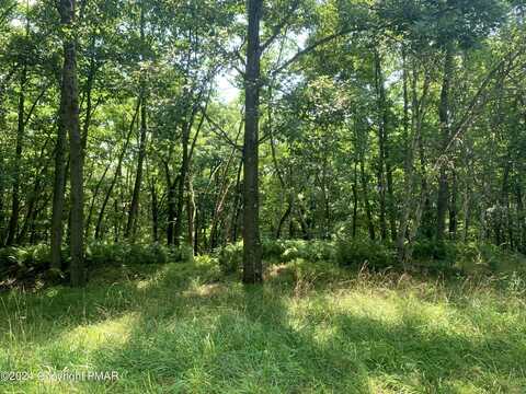 259 Sky View Te Terrace, Effort, PA 18330