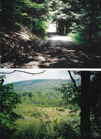 Pantherlick Road, Sugar Run, PA 18846