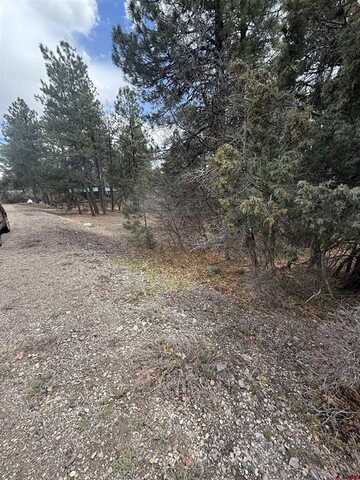 123 Granada Drive, Pagosa Springs, CO 81147