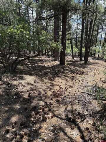 123 Granada Drive, Pagosa Springs, CO 81147
