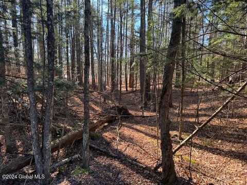 L5 State Rt 28N, Chester, NY 12853