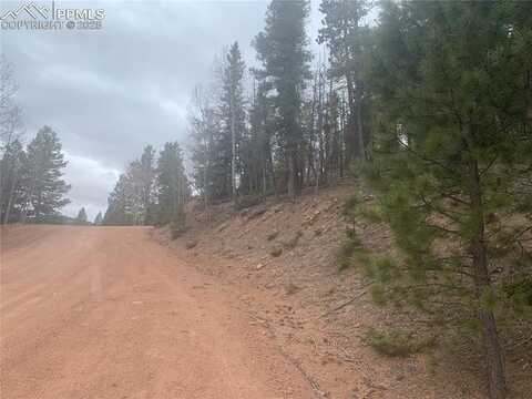 243 Andes Road, Cripple Creek, CO 80813