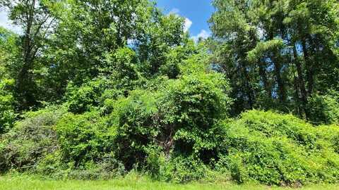 227 EAST SUNNYBROOK RD., Carriere, MS 39426