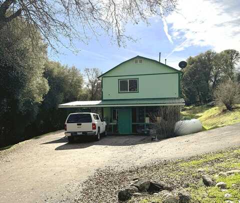 Sassafras, SQUAW VALLEY, CA 93675