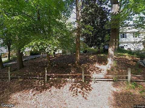 Pine Tree, GAINESVILLE, GA 30506