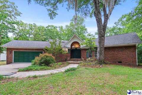 1041 Creekview Dr, Darlington, SC 29540