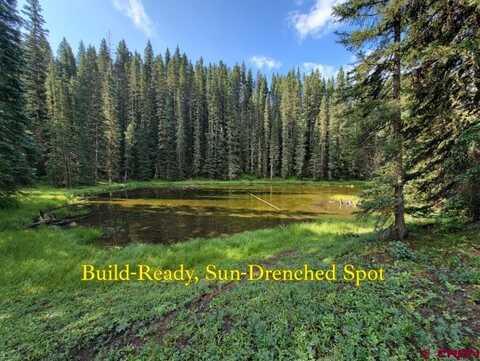 Site 27 Backwoods Lane, Ophir, CO 81435