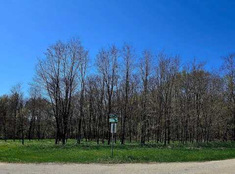 21ST Lane, WAUTOMA, WI 54982