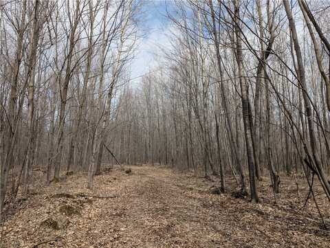 00 Skyline Drive, Stanley, WI 54768