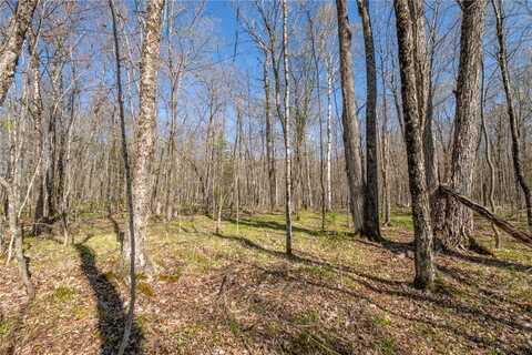 0 Olson Road, Hayward, WI 54843
