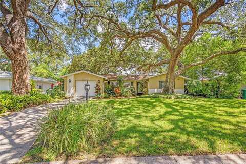 Forest, CLEARWATER, FL 33763